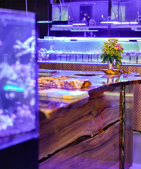 The Marine Center - Eingangsbereich mit Meerwasseraquarium